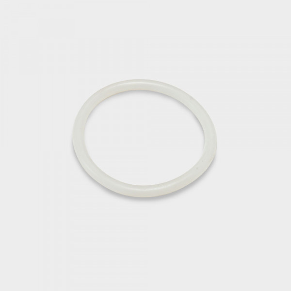 O-Ring Dichtung für Scheinwerfer POOLSANA PROFI ab 2024
