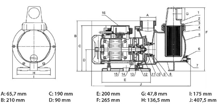 Abmessungen Pumpe