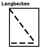 Anbringung Pool-Eisdruckpolster Langformpool